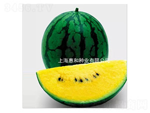 �½��-���ϷN��-�ݺͷN�I(y��)