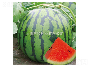 δ��08-���ϷN��-�ݺͷN�I(y��)