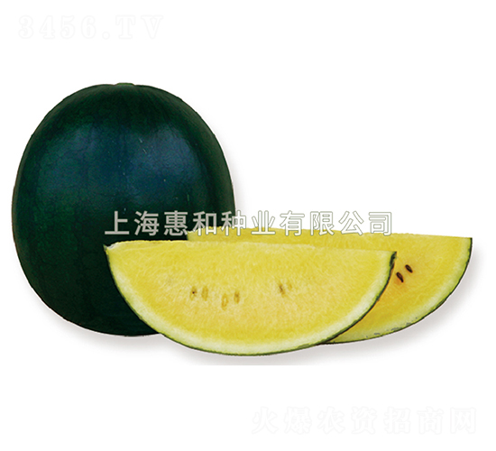 �����-���ϷN��-�ݺͷN�I(y��)