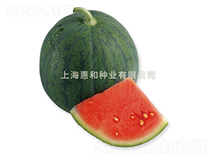 ����-���ϷN��-�ݺͷN�I(y��)