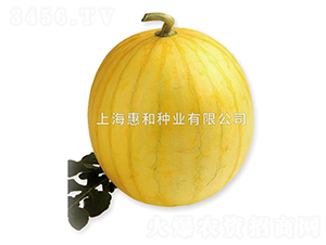 �SƤ����-���ϷN��-�ݺͷN�I(y��)