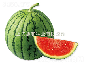 ����-���ϷN��-�ݺͷN�I(y��)