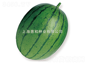 �����w�t��-���ϷN��-�ݺͷN�I(y��)