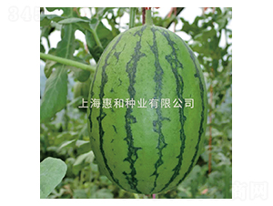 ���Ǵ���-���ϷN��-�ݺͷN�I(y��)