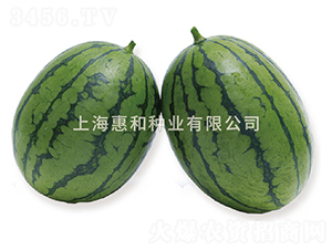 Fr�紺�t��-���ϷN��-�ݺͷN�I(y��)