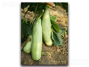 �\���-��ϷN��-����N��