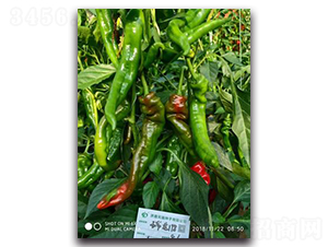 ����198-�����N��-����N��