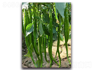 �����L��107-�����N��-����N��