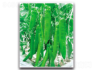 �°���-�����N��-����N��