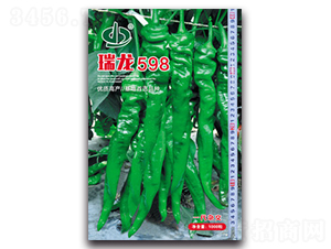 ����598-�����N��-����N��