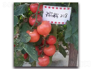 ���218-���ѷN��-����N��