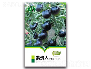 ���F��-���ѷN��-����N��