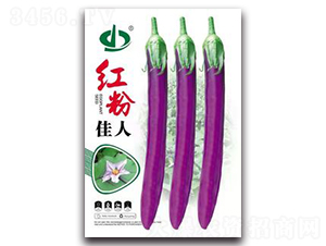 �t�ۼ���-���ӷN��-����N��