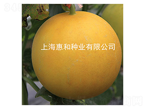 �����̖-��ϷN��-�ݺͷN�I(y��)