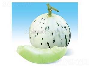 �G¶-��ϷN��-�ݺͷN�I(y��)