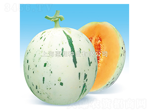 �t¶-��ϷN��-�ݺͷN�I(y��)