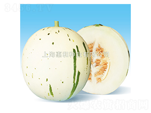 ��¶-��ϷN��-�ݺͷN�I(y��)