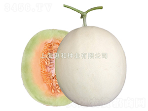 �f��-��ϷN��-�ݺͷN�I(y��)