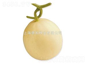 ����������̖-��ϷN��-�ݺͷN�I(y��)