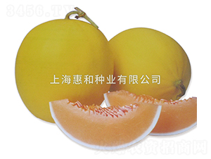 ����-��ϷN��-�ݺͷN�I(y��)