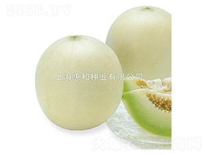 ������-��ϷN��-�ݺͷN�I(y��)