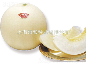 �������ж�̖-��ϷN��-�ݺͷN�I(y��)