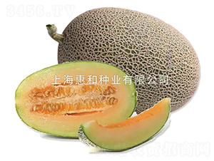 �A��0526-��ϷN��-�ݺͷN�I(y��)