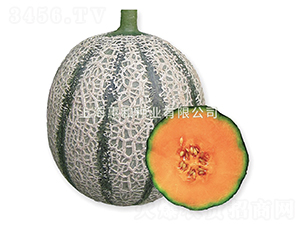 �f��-��ϷN��-�ݺͷN�I(y��)