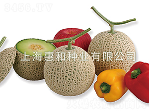 �����W-��ϷN��-�ݺͷN�I(y��)