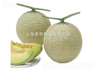 ����˹-��ϷN��-�ݺͷN�I(y��)