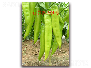 ���l(xi��ng)����4̖(h��o)-�����N��-��ʥ��