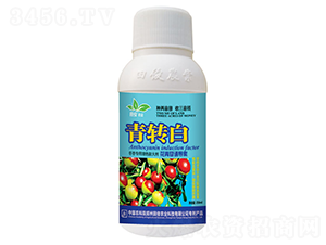 ����������ɫ�����-���D(zhu��n)��-�￡�ʘI(y��)