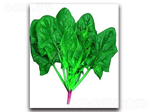 �ձ����ܲ���-���˷N��-�(y��u)�r(n��ng)�I(y��)