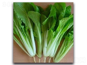 �(y��u)С�ײ�-�ײ˷N��-�(y��u)�r(n��ng)�I(y��)