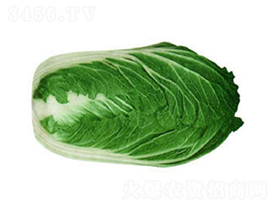 �(y��u)�߿�-�ײ˷N��-�(y��u)�r(n��ng)�I(y��)