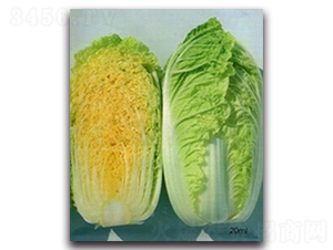 ���޲�-�ײ˷N��-�(y��u)�r(n��ng)�I(y��)