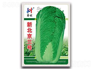 �±�����̖-�ײ˷N��-�(y��u)�r(n��ng)�I(y��)