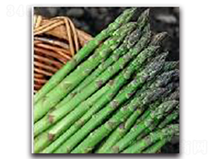 �����_-�J�S�N��-�(y��u)�r�I(y��)