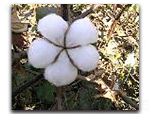 GK��10-�޻��N��-�(y��u)�r�I(y��)