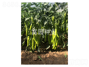 ��Ұ�L��-�����N��-���@�N�I(y��)