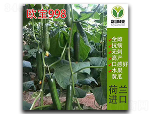 �W��998-�S�ϷN��-���@�N�I(y��)