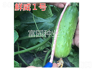 �r��1̖(h��o)-�S�ϷN��-���@�N�I(y��)