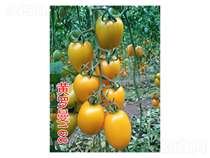 �S�_��168-���ҷ��ѷN��-���@�N�I(y��)