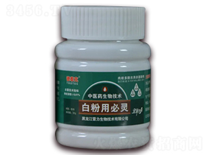 �׷��ñ��`-��̩��-��������