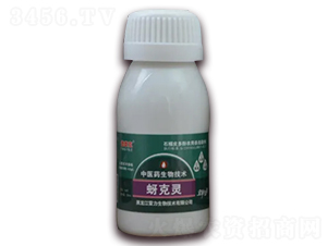 �����`-��̩��-��������