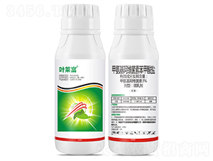 3%�׾S�}΢�鄩-�~�R��-���r(n��ng)����