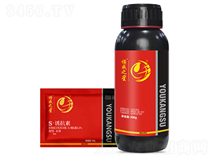 S-�T����-�Z��֮��-���r(n��ng)����