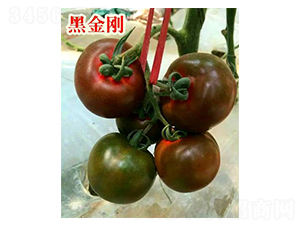 �ڽ���-���ѷN��-���@�N�I(y��)