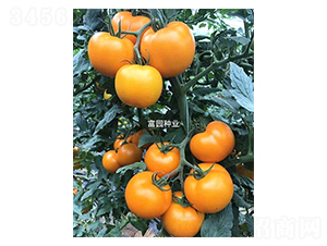 ��ȭ1̖(h��o)-���ѷN��-���@�N�I(y��)