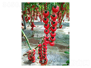 �۸�-С���ѷN��-���@�N�I(y��)